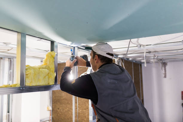 Best Insulation Removal Services  in , CA